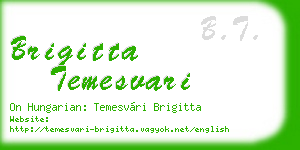 brigitta temesvari business card